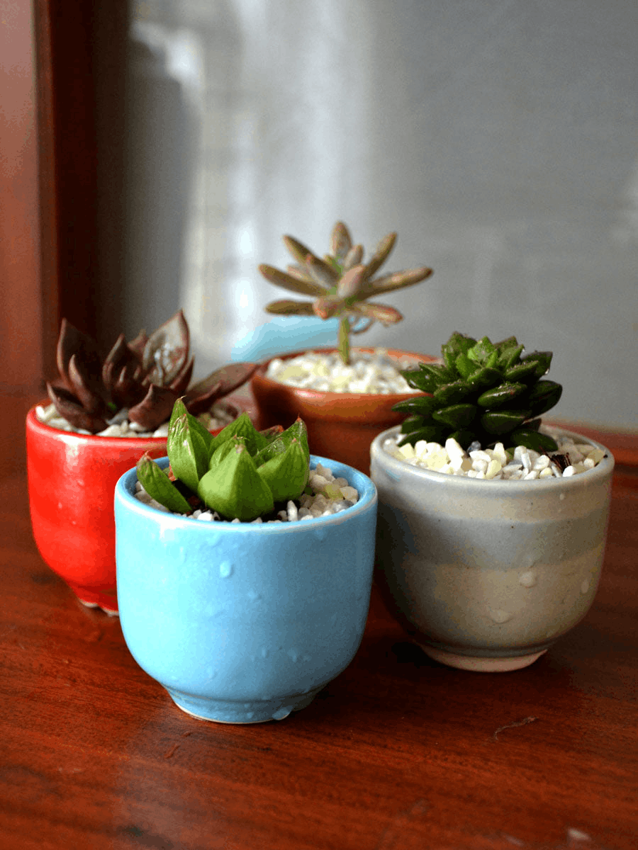 Ceramic Pots