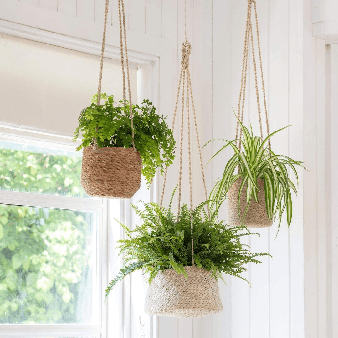 Hanging Planters