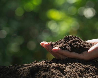 Soil Care
